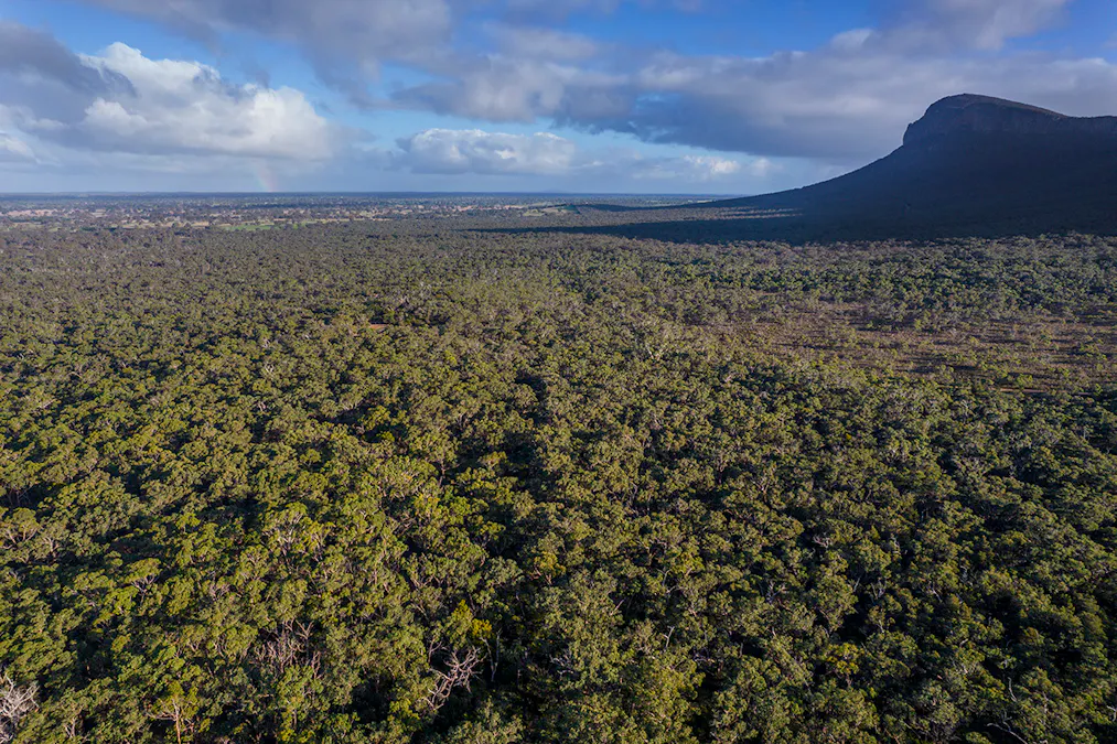 Grampians Road, Bornes Hill, VIC, 3379 - Image 1