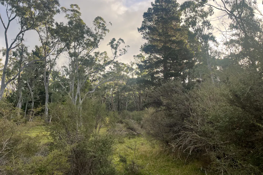 Grampians Road, Bornes Hill, VIC, 3379 - Image 8