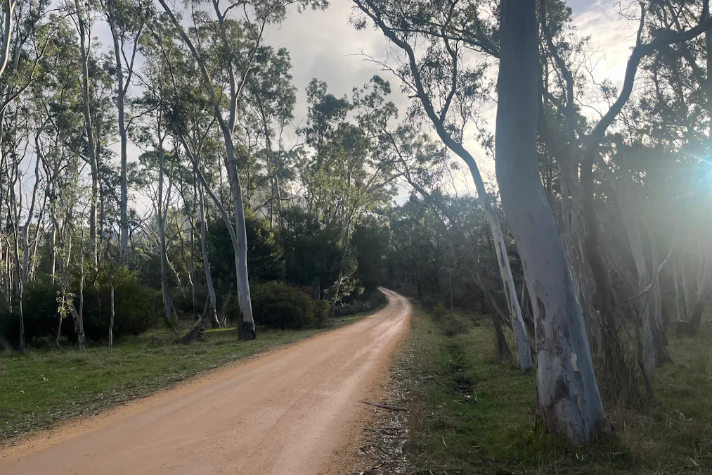 Grampians Road, Bornes Hill, VIC, 3379 - Image 6