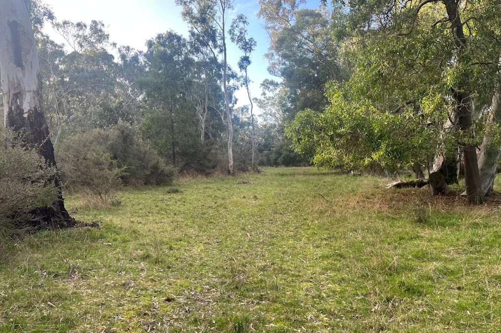 Grampians Road, Bornes Hill, VIC, 3379 - Image 9