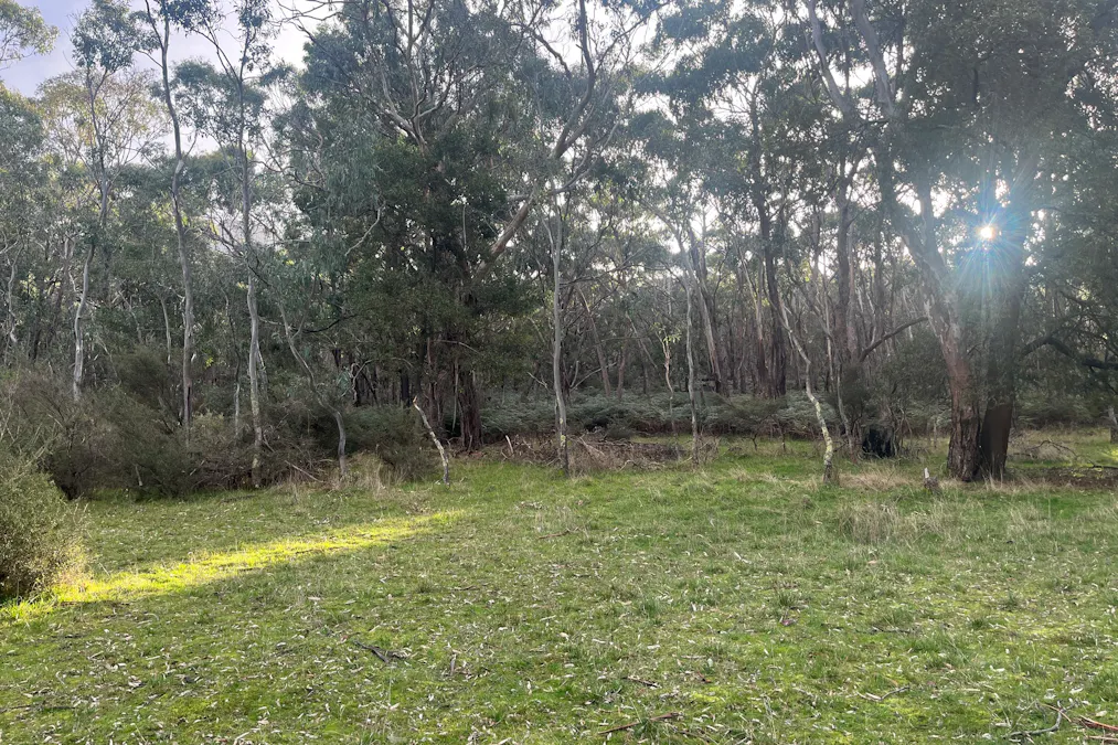 Grampians Road, Bornes Hill, VIC, 3379 - Image 12