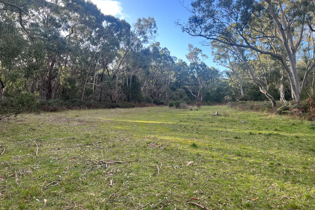 Grampians Road, Bornes Hill, VIC, 3379 - Image 15