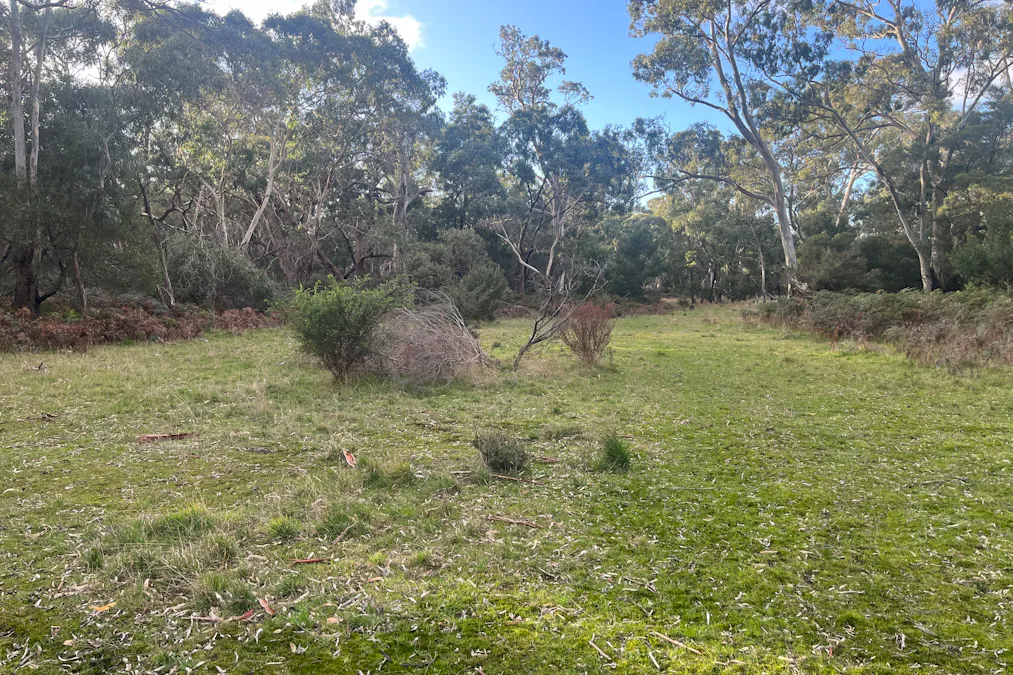 Grampians Road, Bornes Hill, VIC, 3379 - Image 17