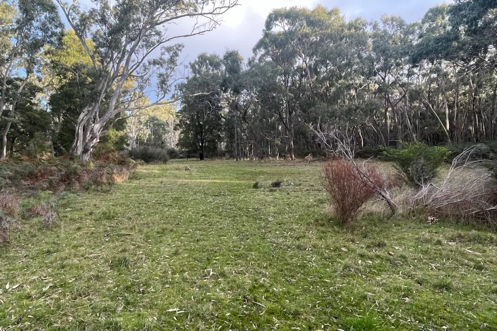 Grampians Road, Bornes Hill, VIC, 3379 - Image 18