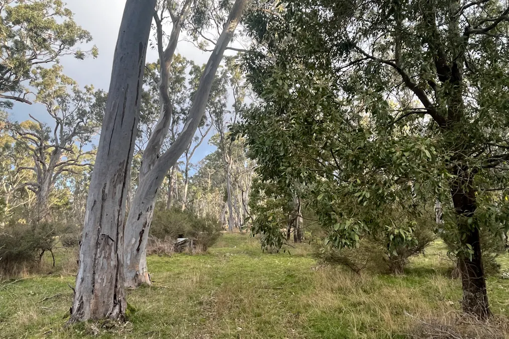 Grampians Road, Bornes Hill, VIC, 3379 - Image 20