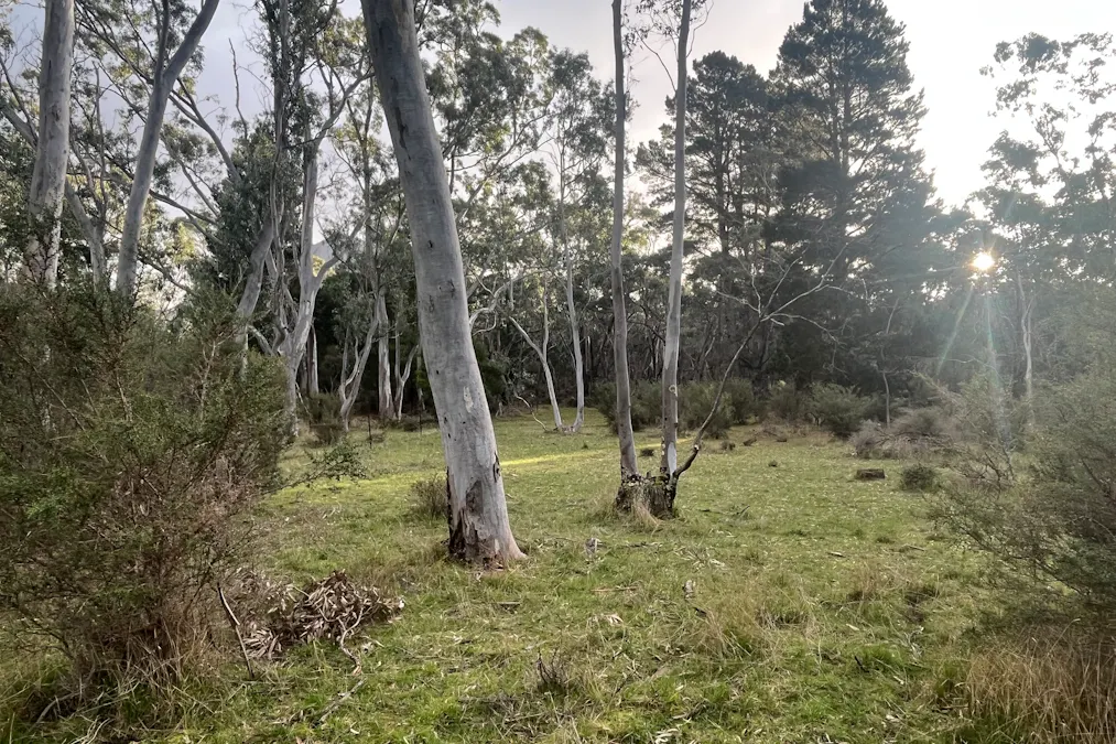 Grampians Road, Bornes Hill, VIC, 3379 - Image 16