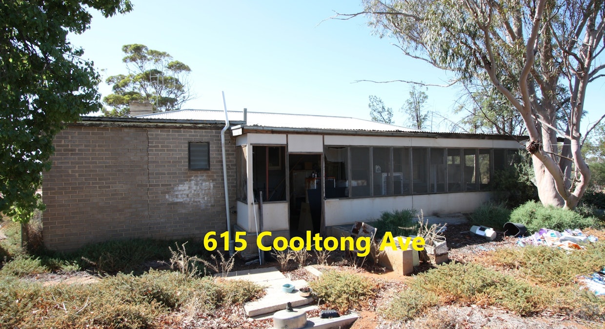 606 Cooltong Avenue, Renmark, SA, 5341 - Image 9