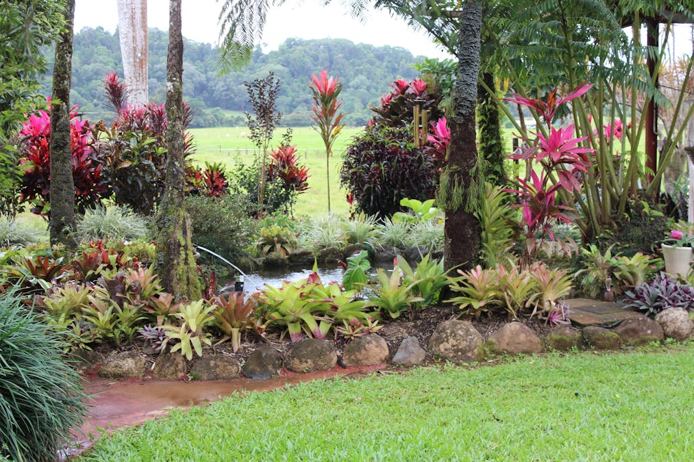 438 Waugh Pocket Road, Waugh Pocket, QLD, 4871 - Image 7