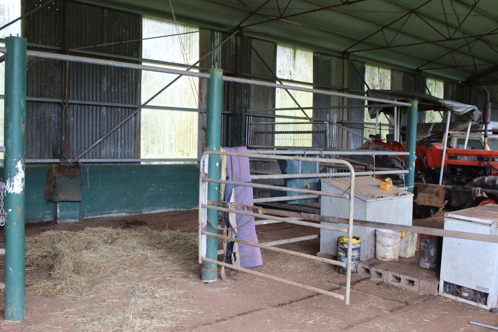 438 Waugh Pocket Road, Waugh Pocket, QLD, 4871 - Image 15