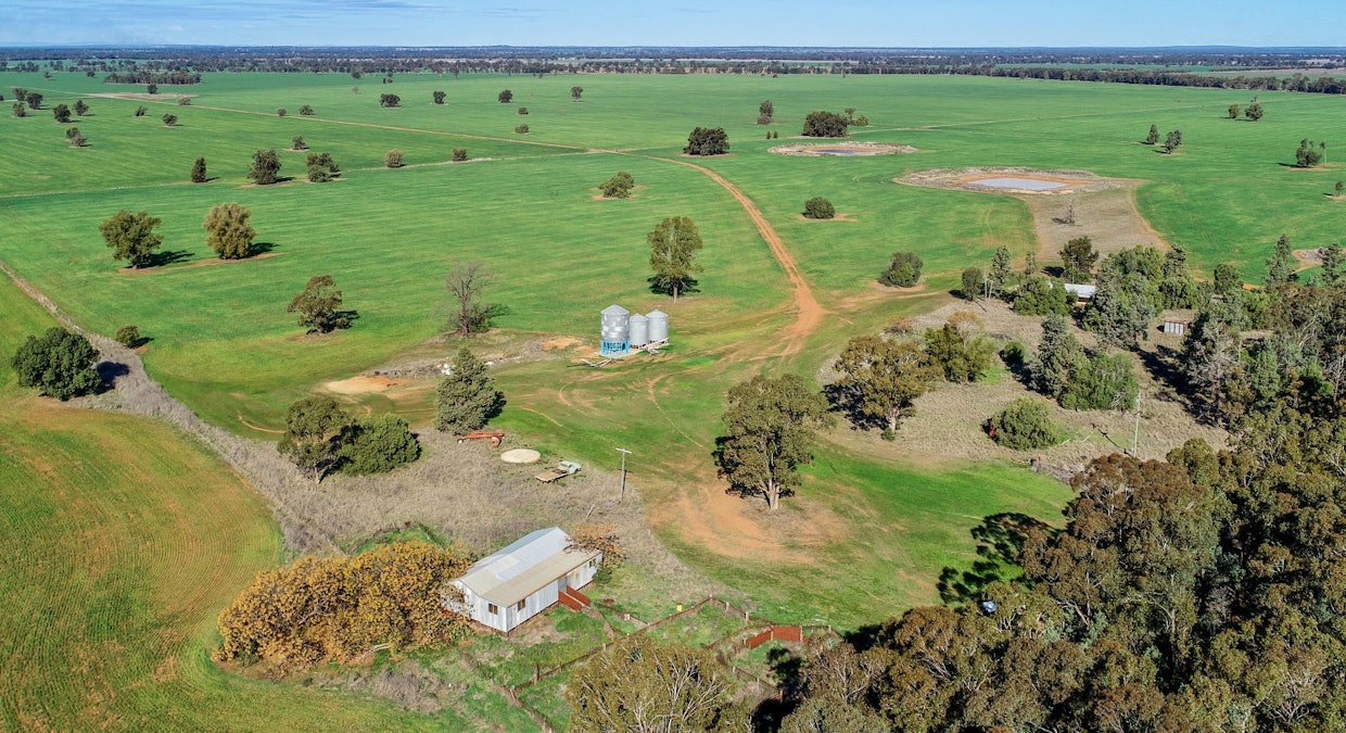 Omagh View 1667 Alagala Road, Tullamore, NSW, 2874 - Image 6
