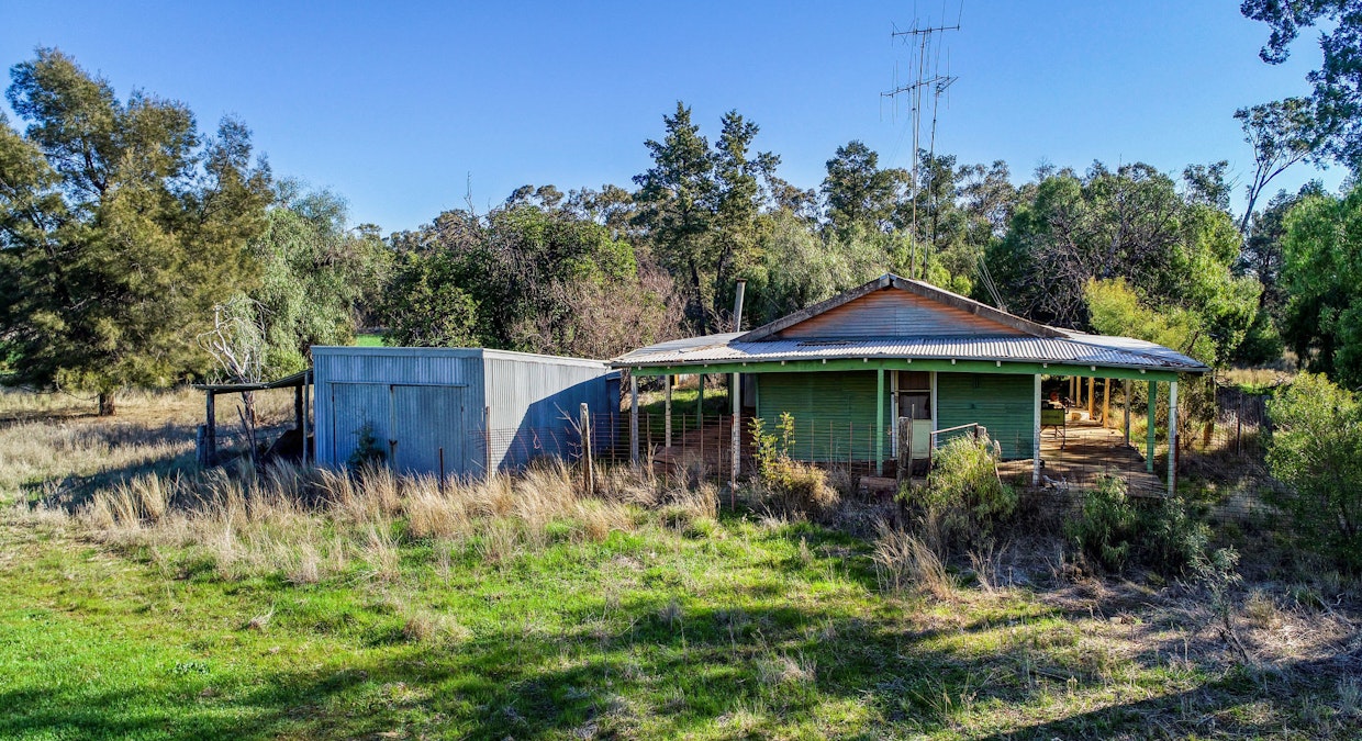 Omagh View 1667 Alagala Road, Tullamore, NSW, 2874 - Image 12
