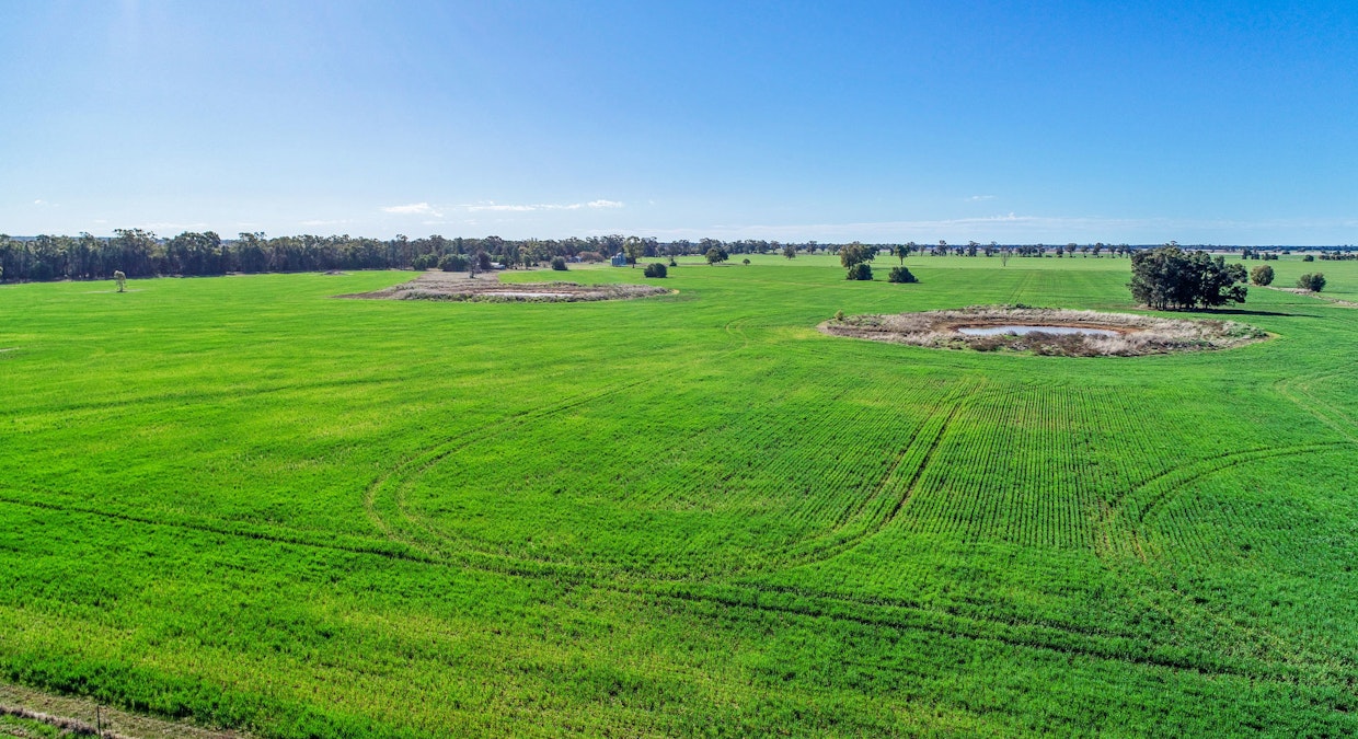 Omagh View 1667 Alagala Road, Tullamore, NSW, 2874 - Image 9