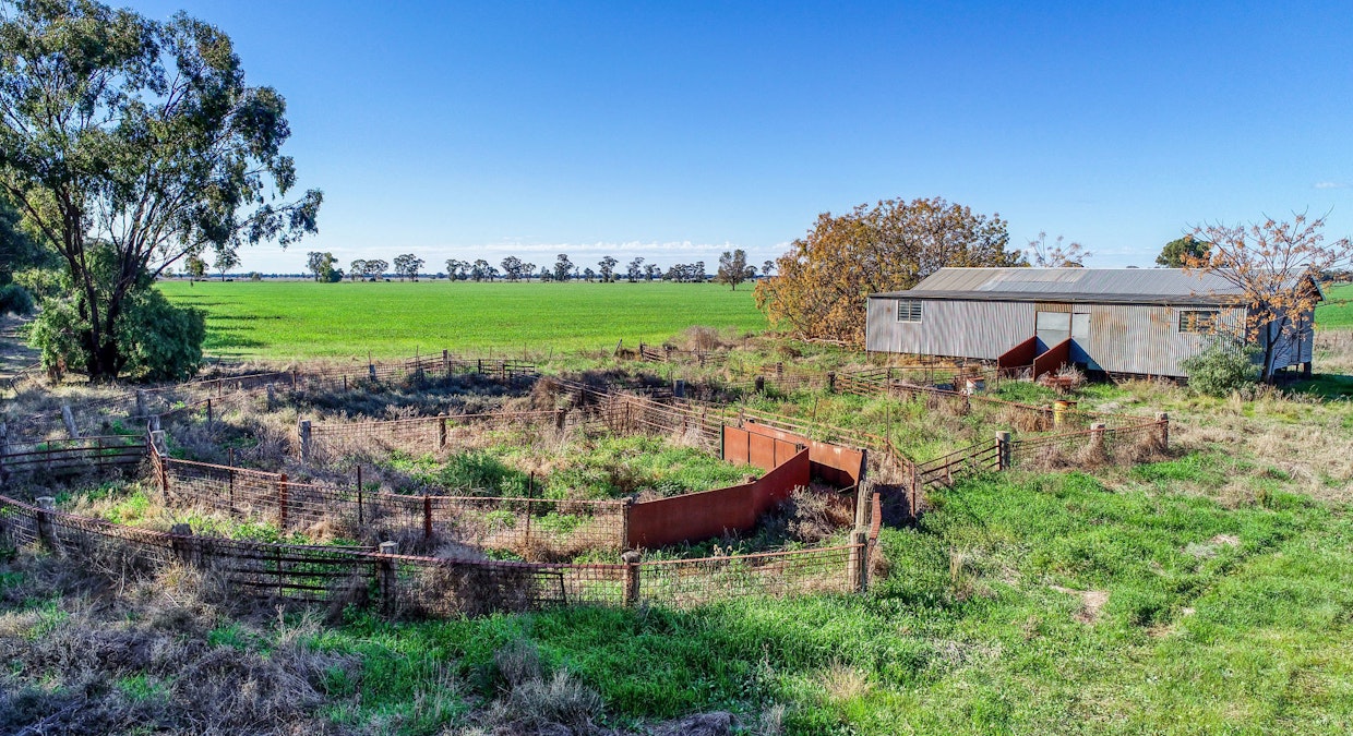Omagh View 1667 Alagala Road, Tullamore, NSW, 2874 - Image 10