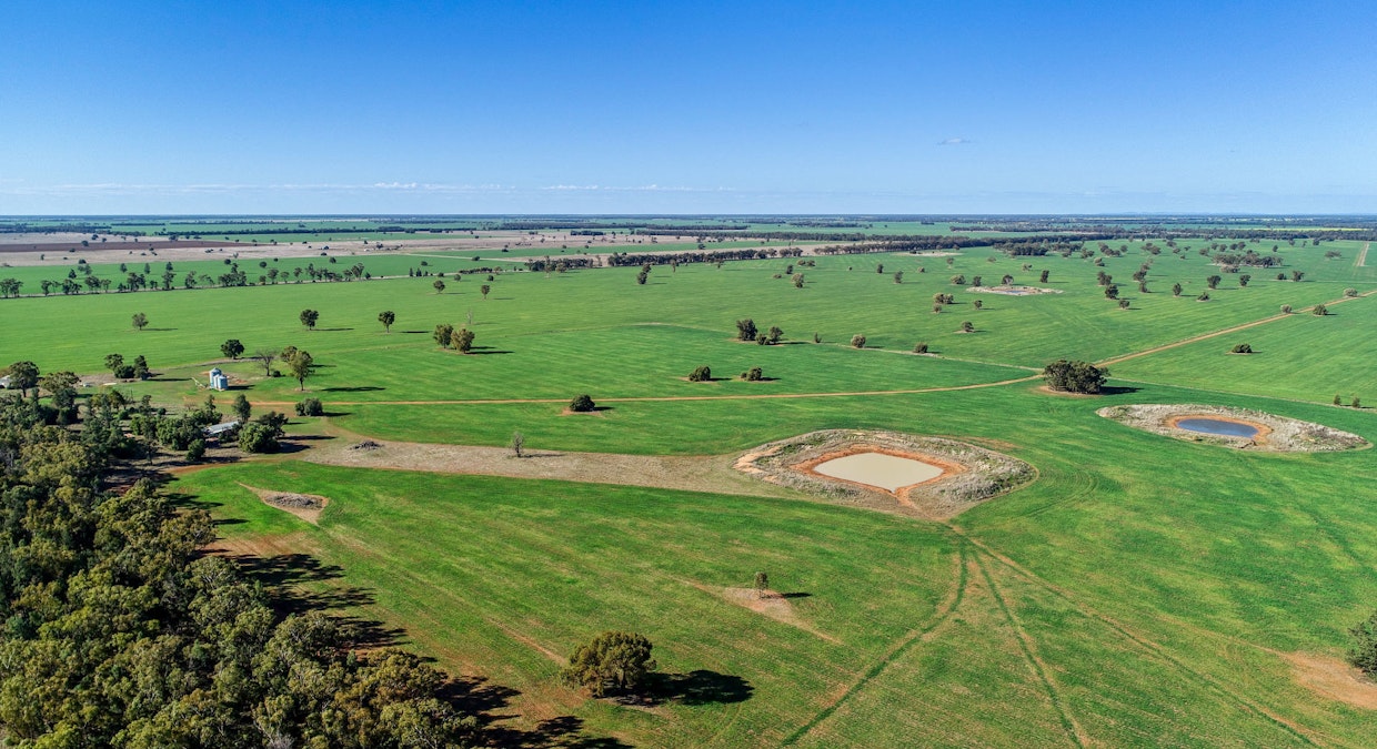 Omagh View 1667 Alagala Road, Tullamore, NSW, 2874 - Image 14
