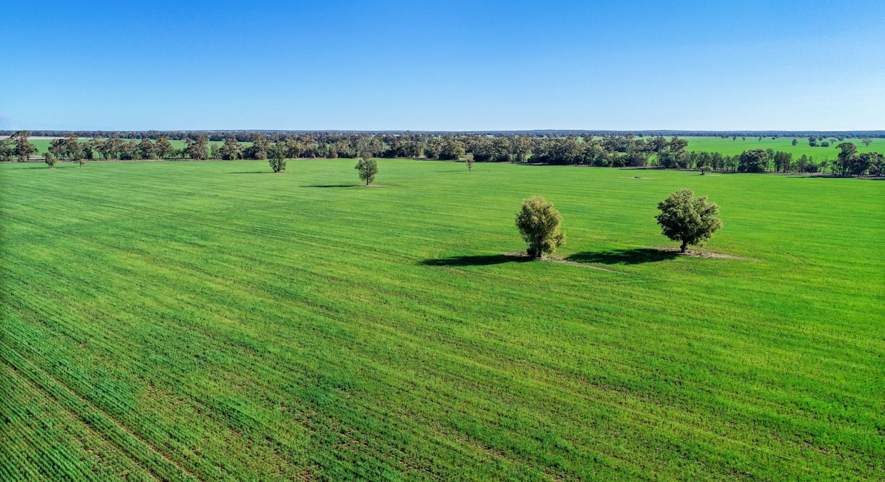 Omagh View 1667 Alagala Road, Tullamore, NSW, 2874 - Image 15