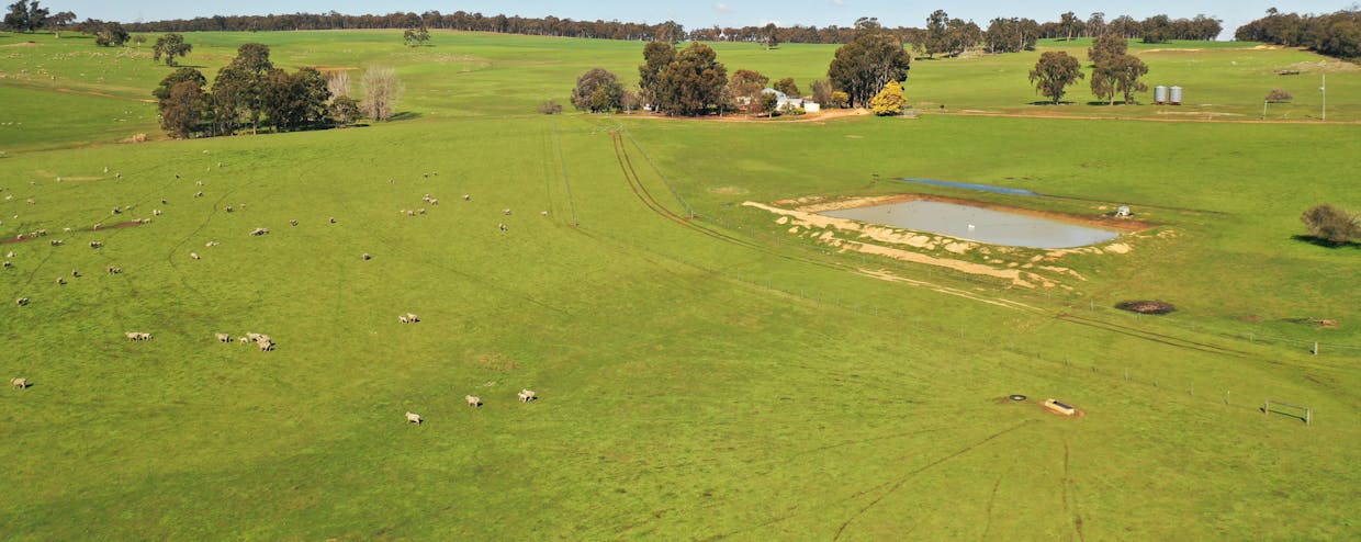 10 Harrison Road, Mayanup, WA, 6244 - Image 10