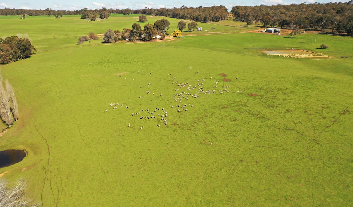 10 Harrison Road, Mayanup, WA, 6244 - Image 11