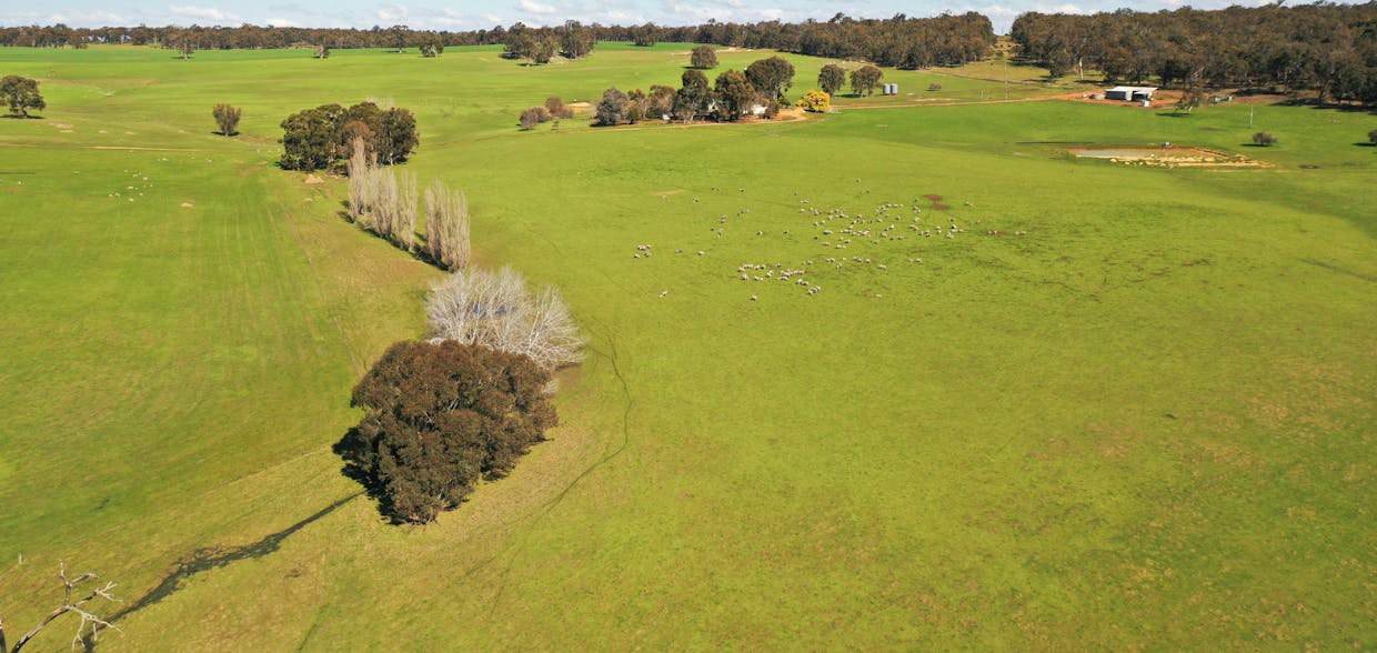 10 Harrison Road, Mayanup, WA, 6244 - Image 14
