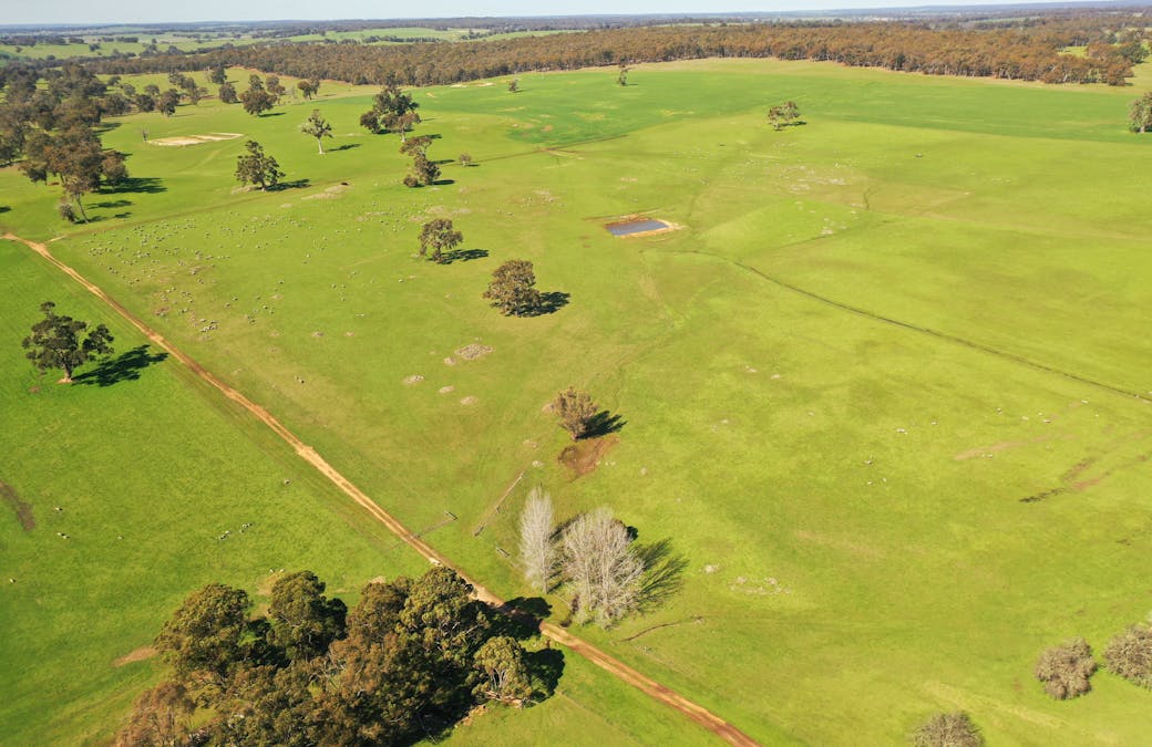 10 Harrison Road, Mayanup, WA, 6244 - Image 16