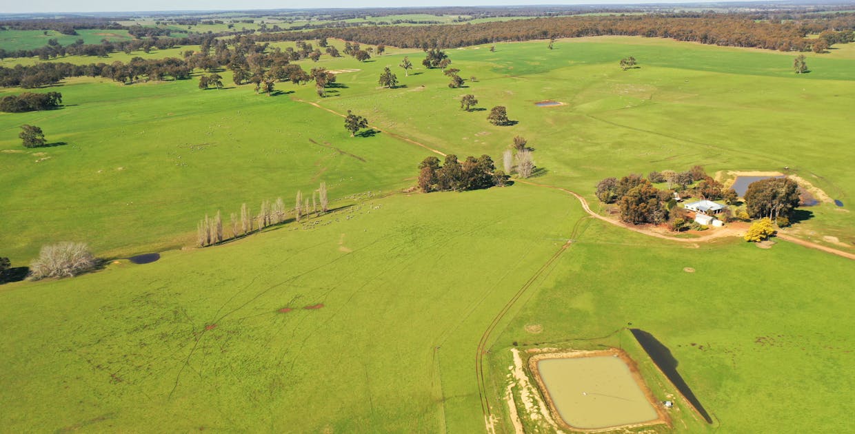 10 Harrison Road, Mayanup, WA, 6244 - Image 17