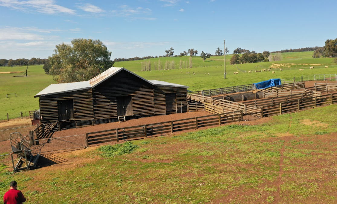 10 Harrison Road, Mayanup, WA, 6244 - Image 8
