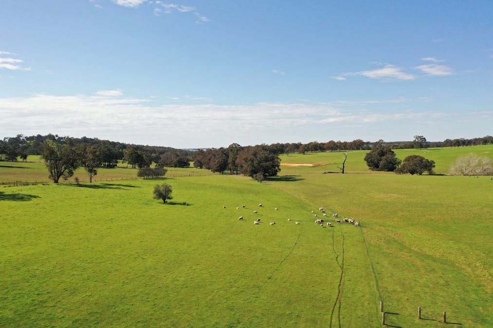 10 Harrison Road, Mayanup, WA, 6244 - Image 18