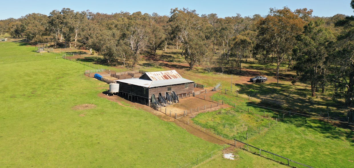 10 Harrison Road, Mayanup, WA, 6244 - Image 9
