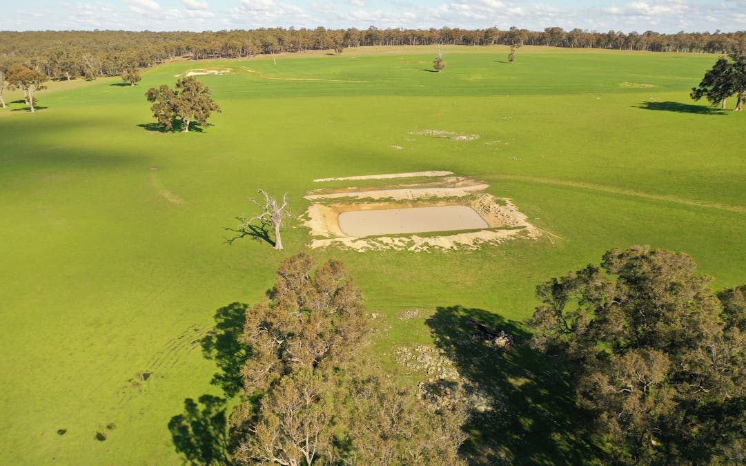 10 Harrison Road, Mayanup, WA, 6244 - Image 19
