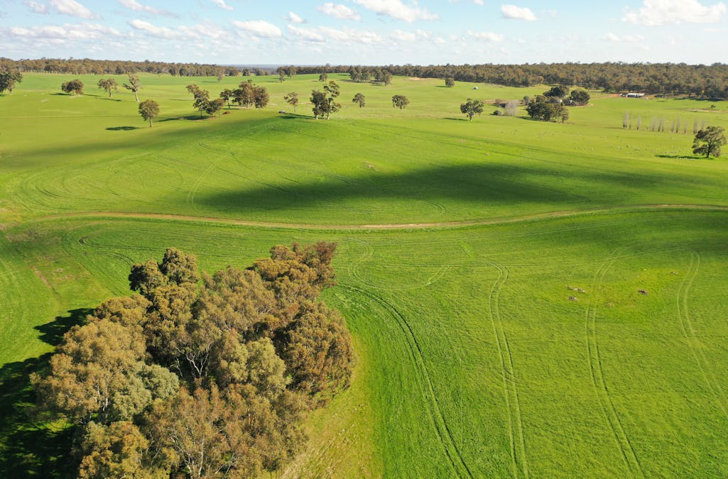 10 Harrison Road, Mayanup, WA, 6244 - Image 20