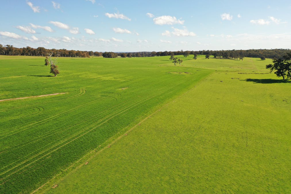 10 Harrison Road, Mayanup, WA, 6244 - Image 21