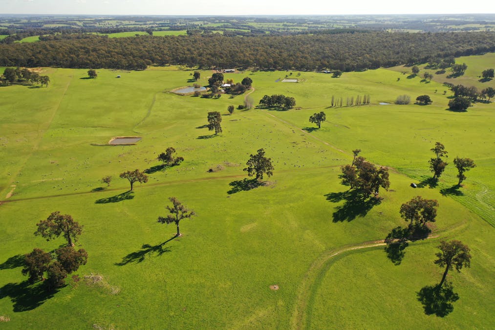 10 Harrison Road, Mayanup, WA, 6244 - Image 22