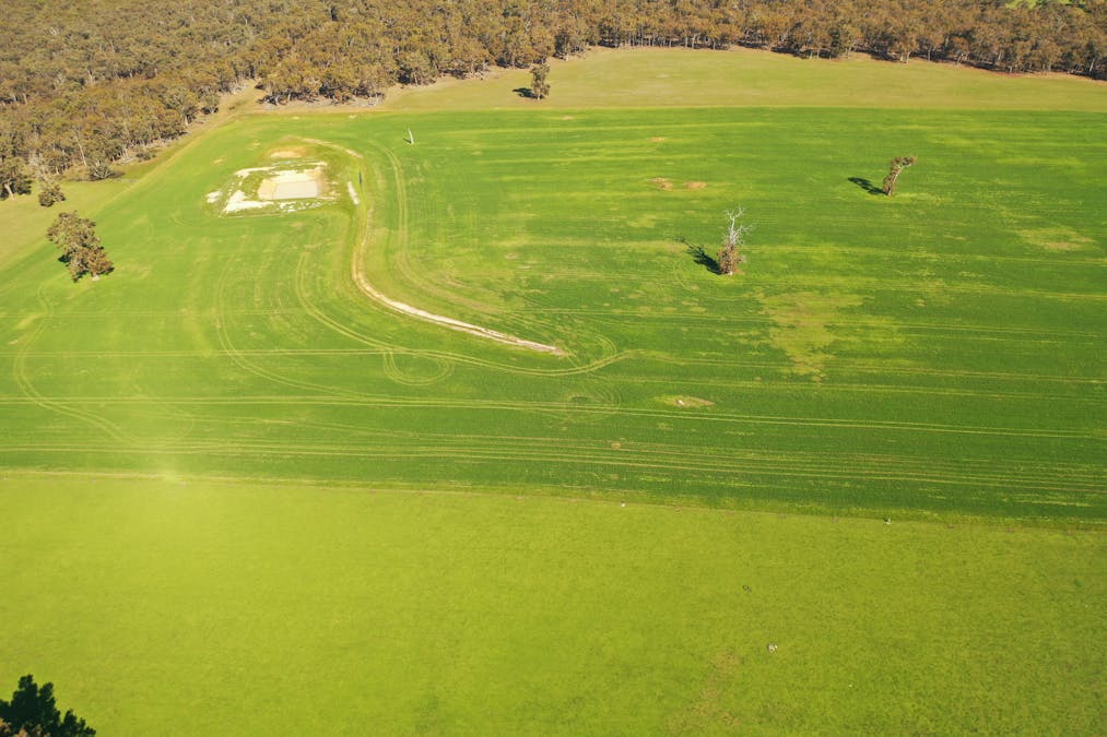 10 Harrison Road, Mayanup, WA, 6244 - Image 23