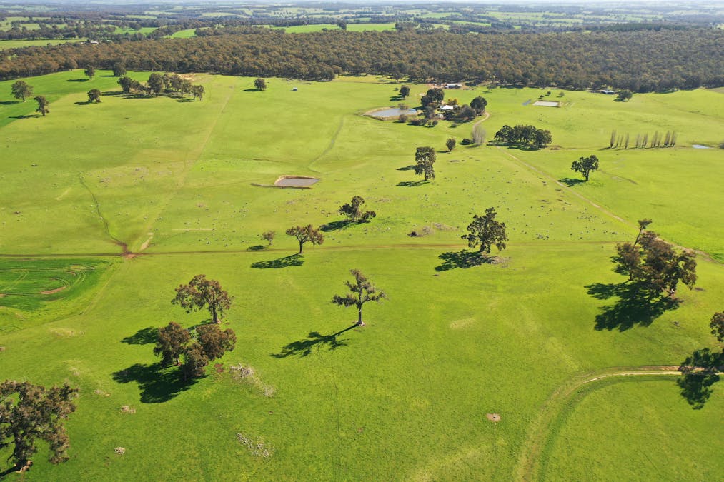 10 Harrison Road, Mayanup, WA, 6244 - Image 25