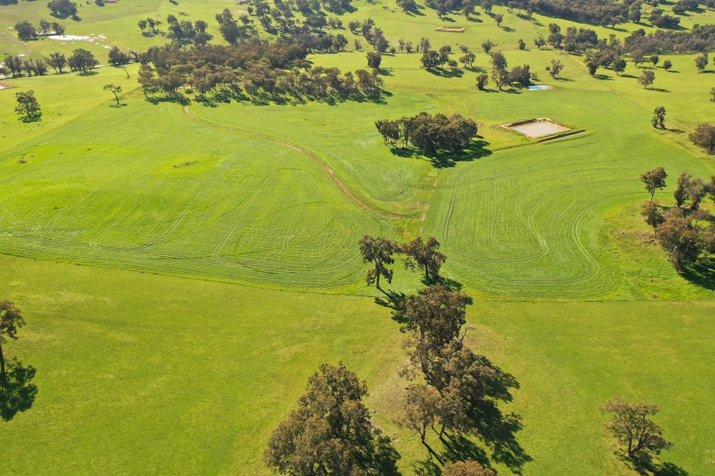 10 Harrison Road, Mayanup, WA, 6244 - Image 26