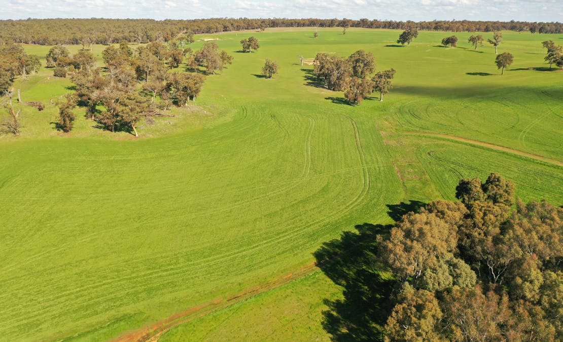 10 Harrison Road, Mayanup, WA, 6244 - Image 27