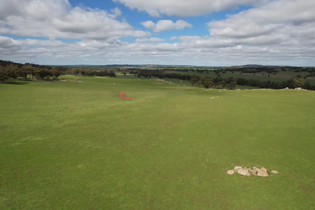 870 South Dale Road, Jelcobine, WA, 6306 - Image 6