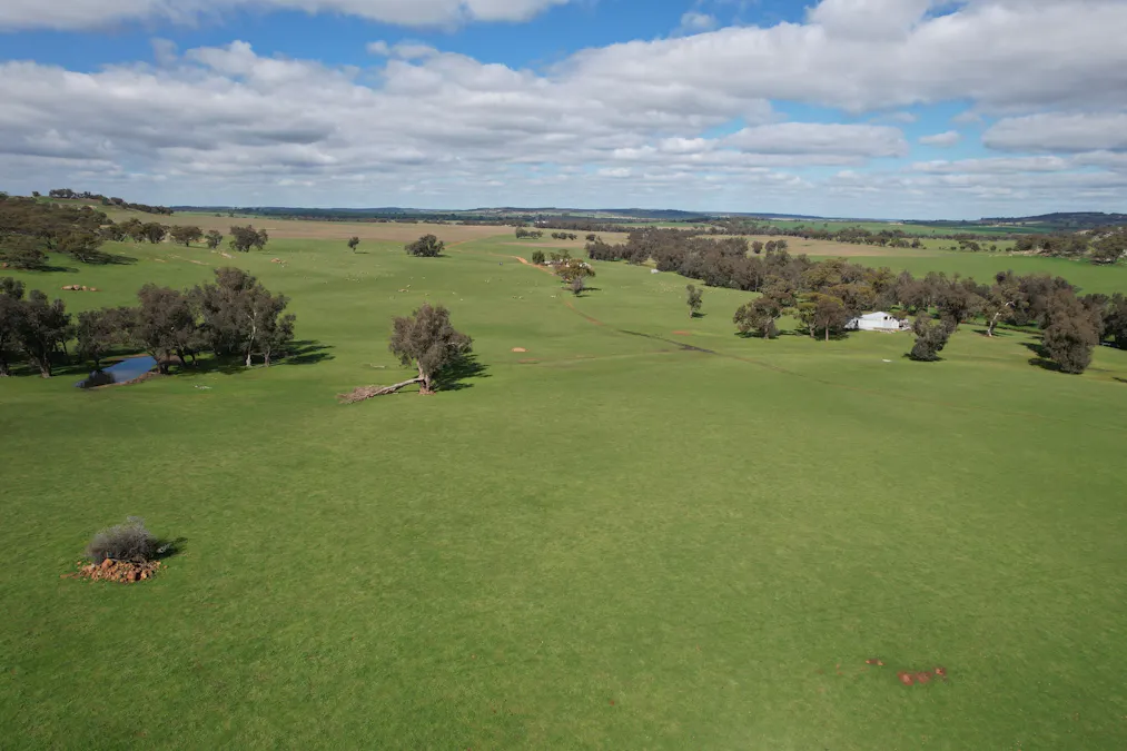 870 South Dale Road, Jelcobine, WA, 6306 - Image 8