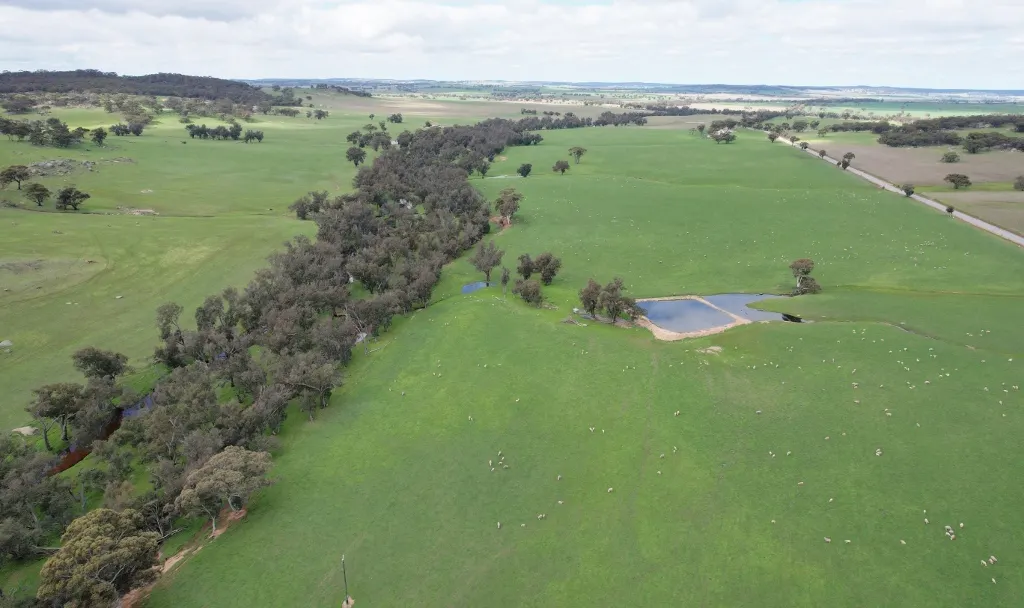 870 South Dale Road, Jelcobine, WA, 6306 - Image 9