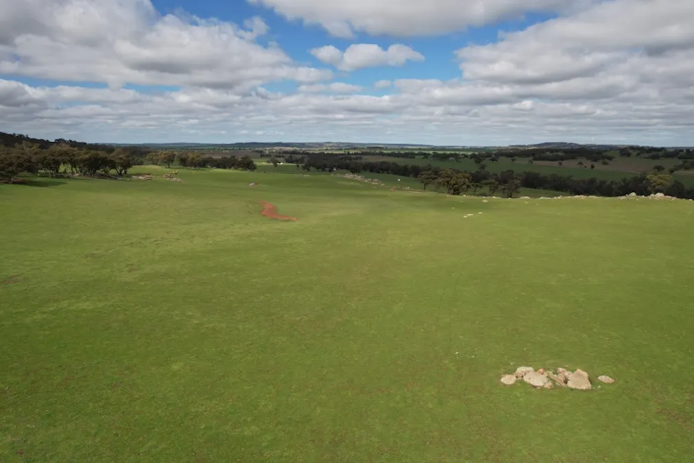 870 South Dale Road, Jelcobine, WA, 6306 - Image 11