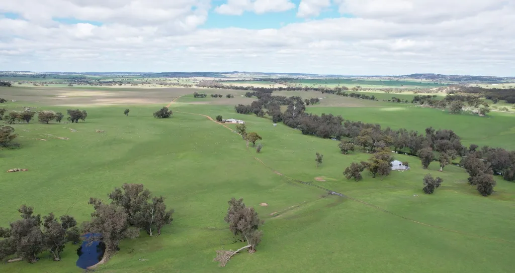 870 South Dale Road, Jelcobine, WA, 6306 - Image 1