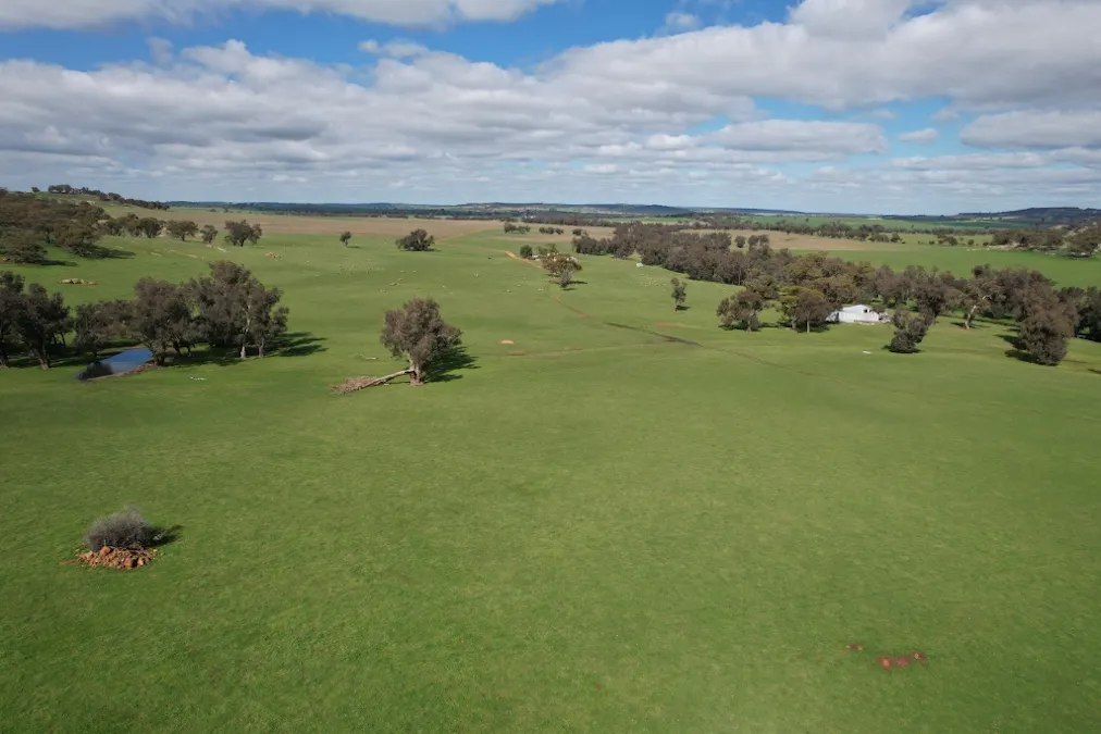 870 South Dale Road, Jelcobine, WA, 6306 - Image 13