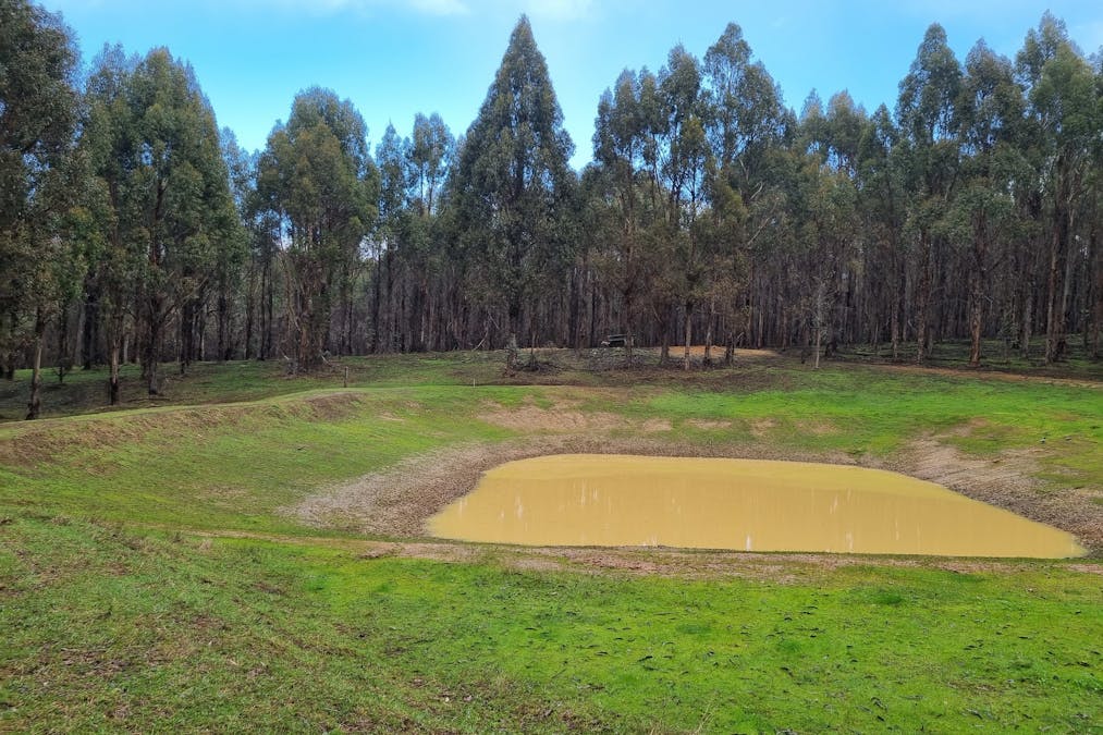 633 Dwalganup Road, Mayanup, WA, 6244 - Image 8