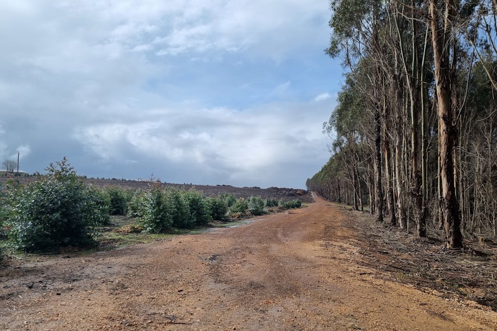 633 Dwalganup Road, Mayanup, WA, 6244 - Image 2
