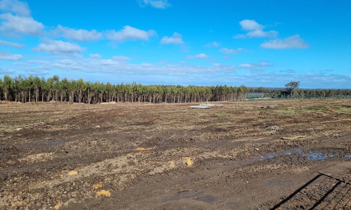 633 Dwalganup Road, Mayanup, WA, 6244 - Image 10