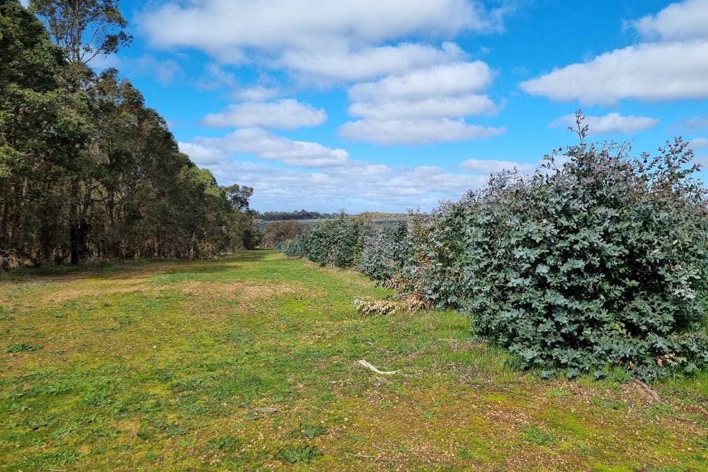 633 Dwalganup Road, Mayanup, WA, 6244 - Image 6