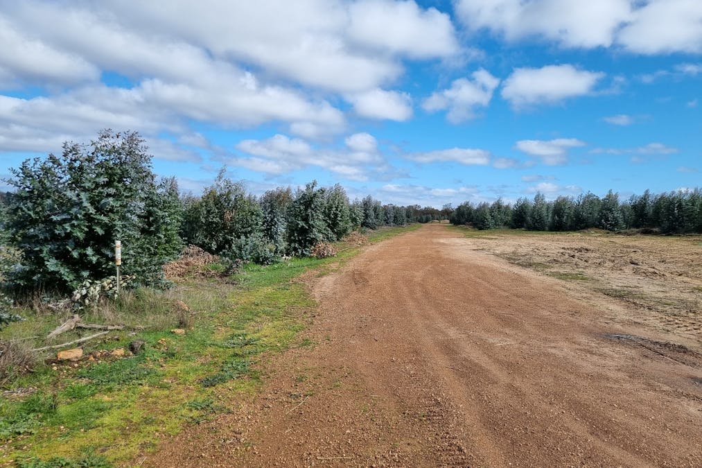 633 Dwalganup Road, Mayanup, WA, 6244 - Image 11