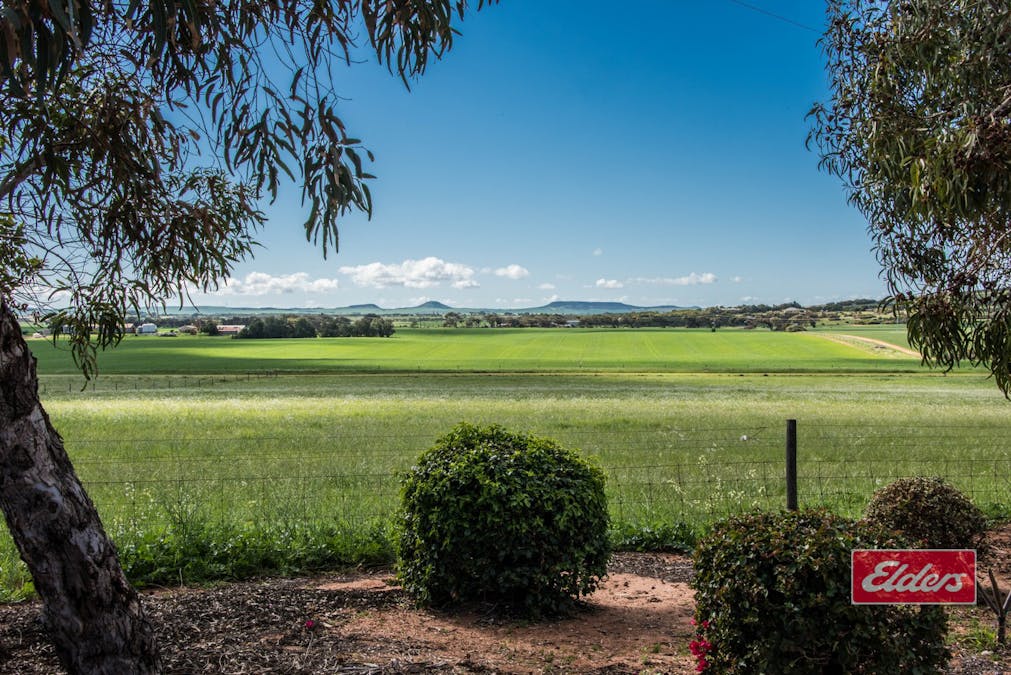 99 Scott Road, Rudds Gully, WA, 6532 - Image 31