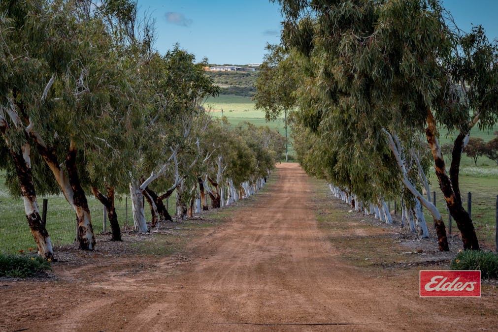 99 Scott Road, Rudds Gully, WA, 6532 - Image 32