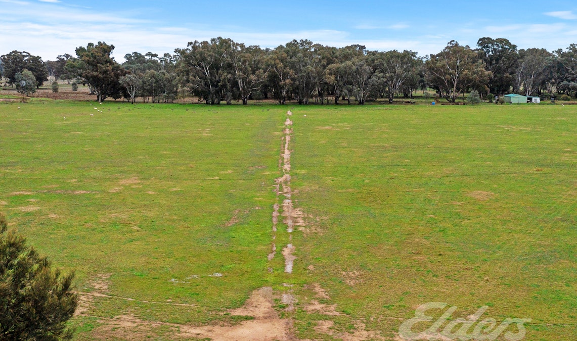 296 Boorhaman East Road, Norong, VIC, 3682 - Image 7