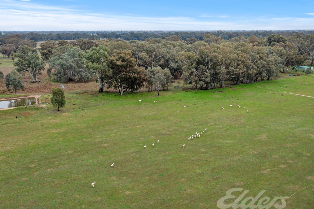 296 Boorhaman East Road, Norong, VIC, 3682 - Image 9